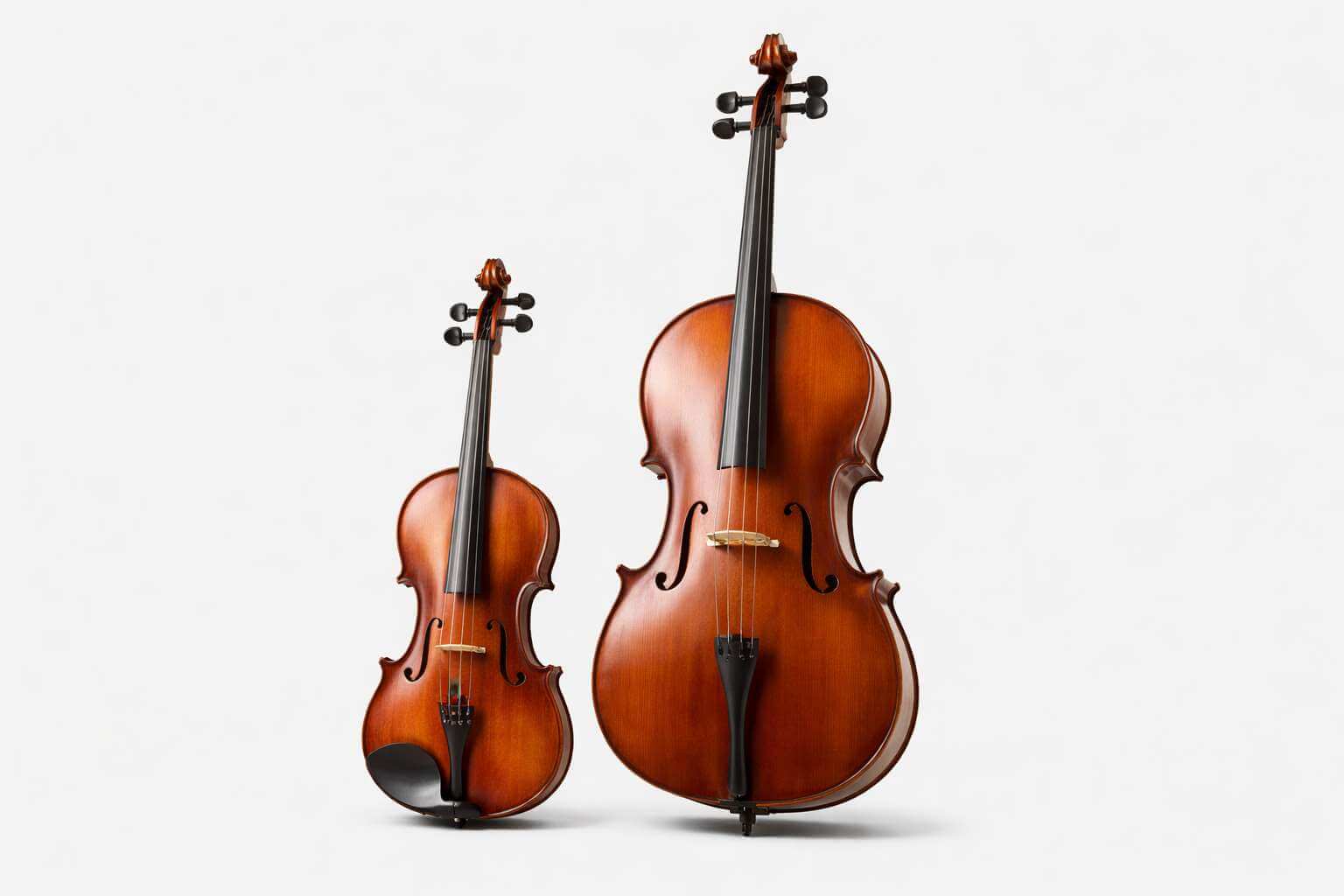 Eternal Master Violin and Cello Set